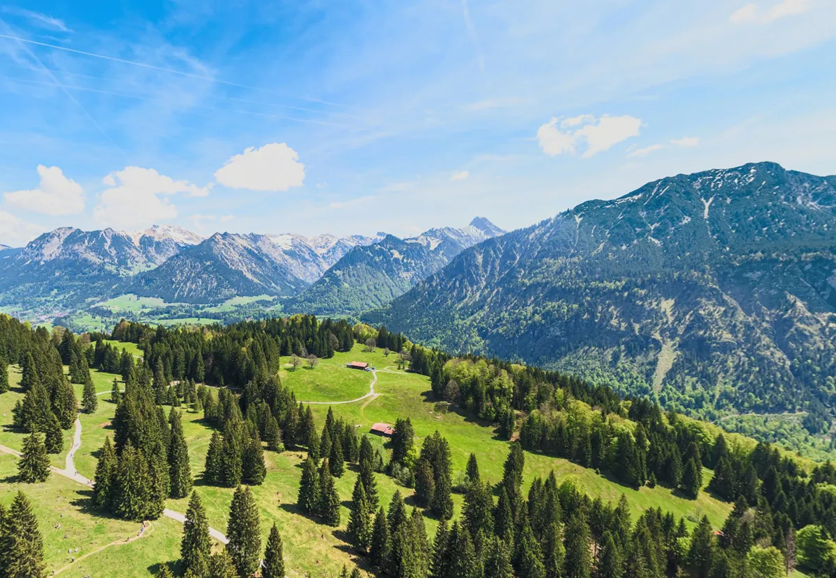 Blick über Bergwiesen und bewaldete Hänge auf die Allgäuer Alpen.