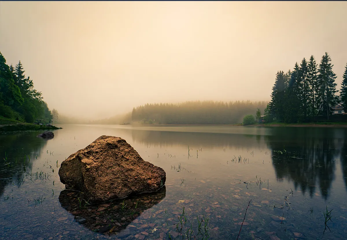 Findling im flachen Wasser einer Talsperre, Nebel über dem Nadelwald am Ufer.