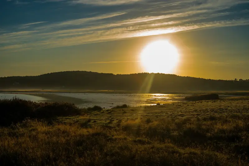 Tief stehende Sonne über einer Wiese am Wasser, Dunst liegt über dem Gelände.