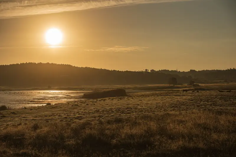 Die Sonne über einer weiten Grasfläche am Wasser, diesiges Licht.