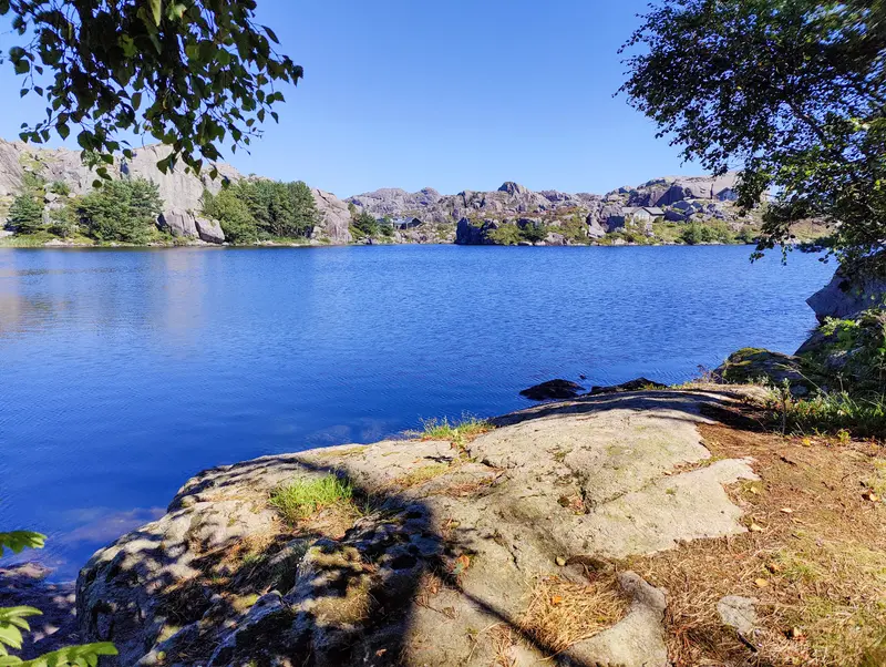 Blick über eine Bucht mit klarem Wasser, im Vordergrund Fels und Laub.