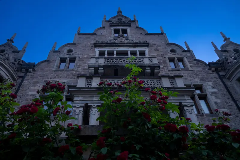 Verzierte Sandsteinfassade eines Schlosses in der blauen Stunde, davor rote Rosen.