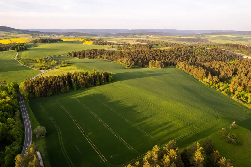 Luftbild über Feldern und Wald, eine geschwungene Straße im Abendlicht.