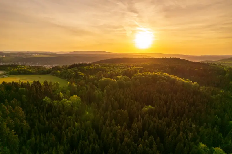 Die Sonne steht über einem Waldrücken, Luftbild in warmem Licht.