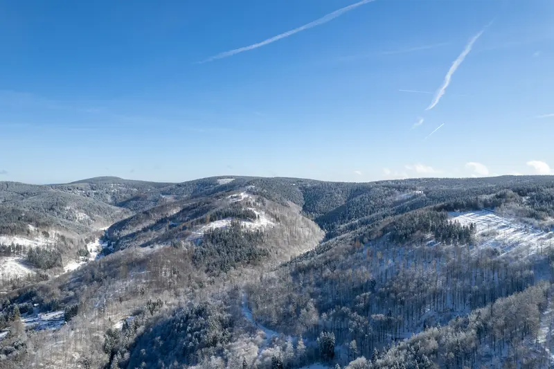 Luftbild über verschneite Hügel und Nadelwald.