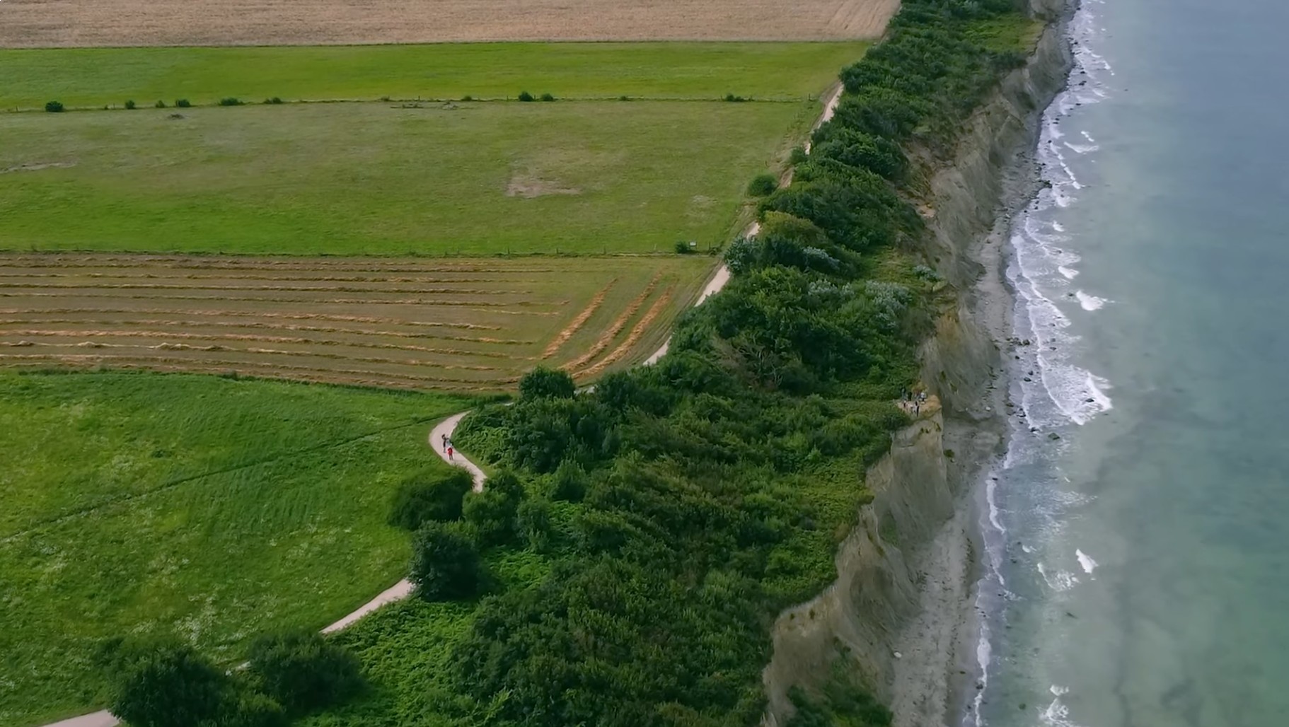 Luftbild der Steilküste bei Ahrenshoop: Links reichen abgeerntete Felder und Wiesen bis an die bewachsene Abbruchkante, rechts brechen sich die Wellen der Ostsee am schmalen Strand.