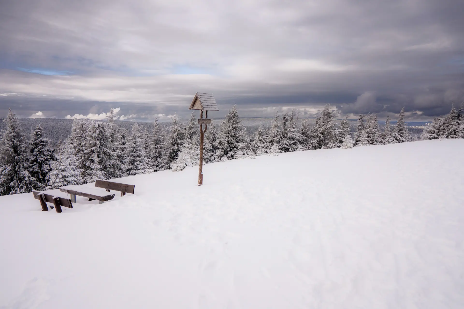 Winter auf dem Schneekopf