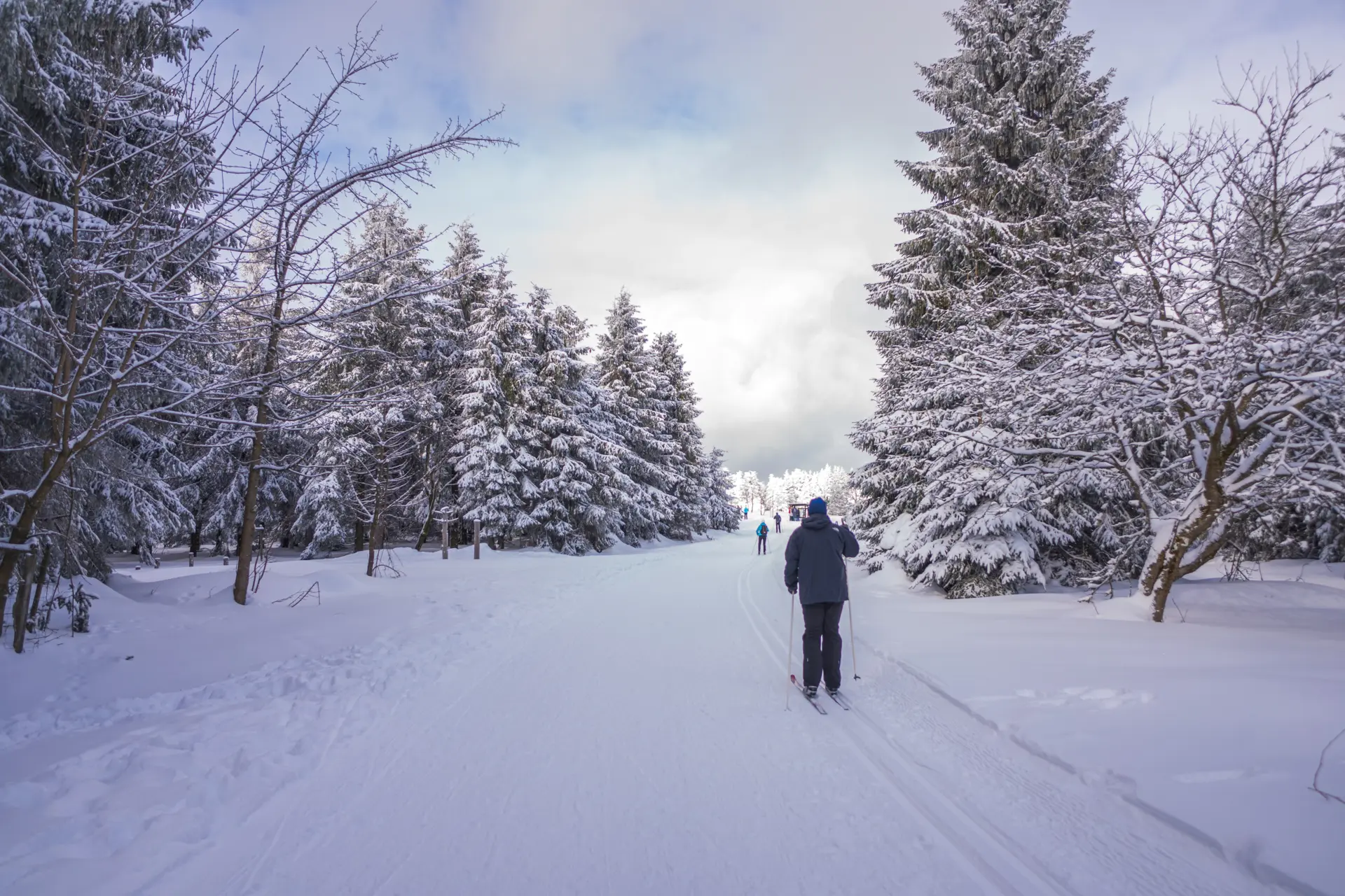 Winter auf dem Schneekopf