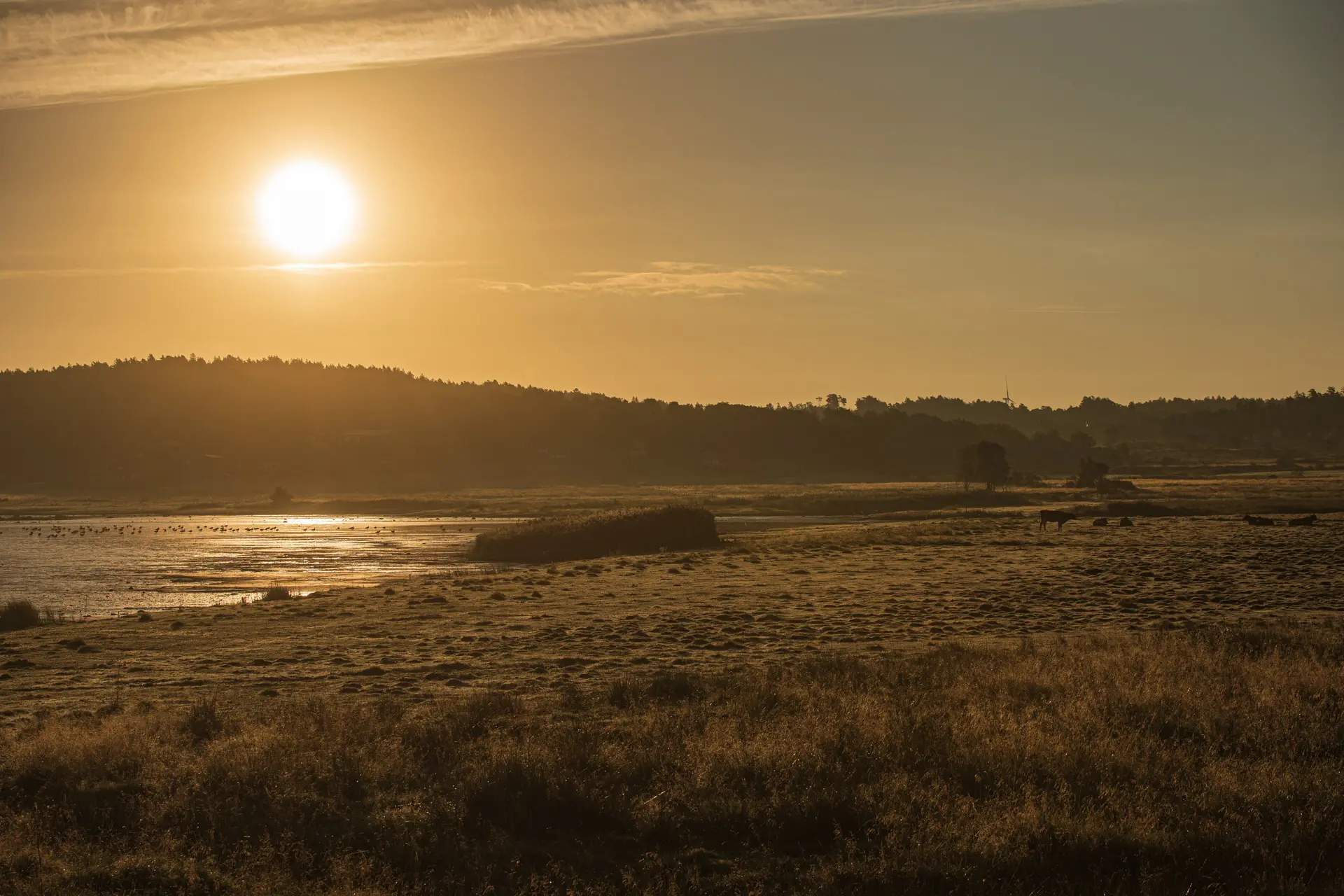 Sonnenaufgang an einem See in Schweden