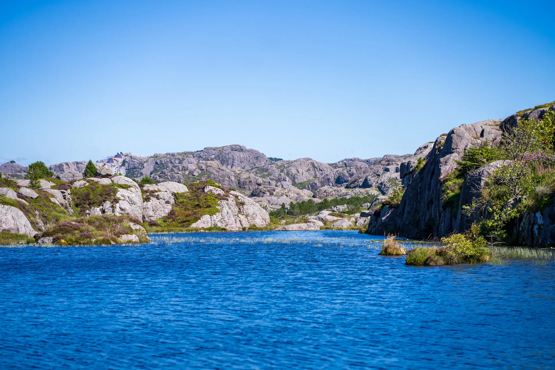 Norwegen - Hardangervidda