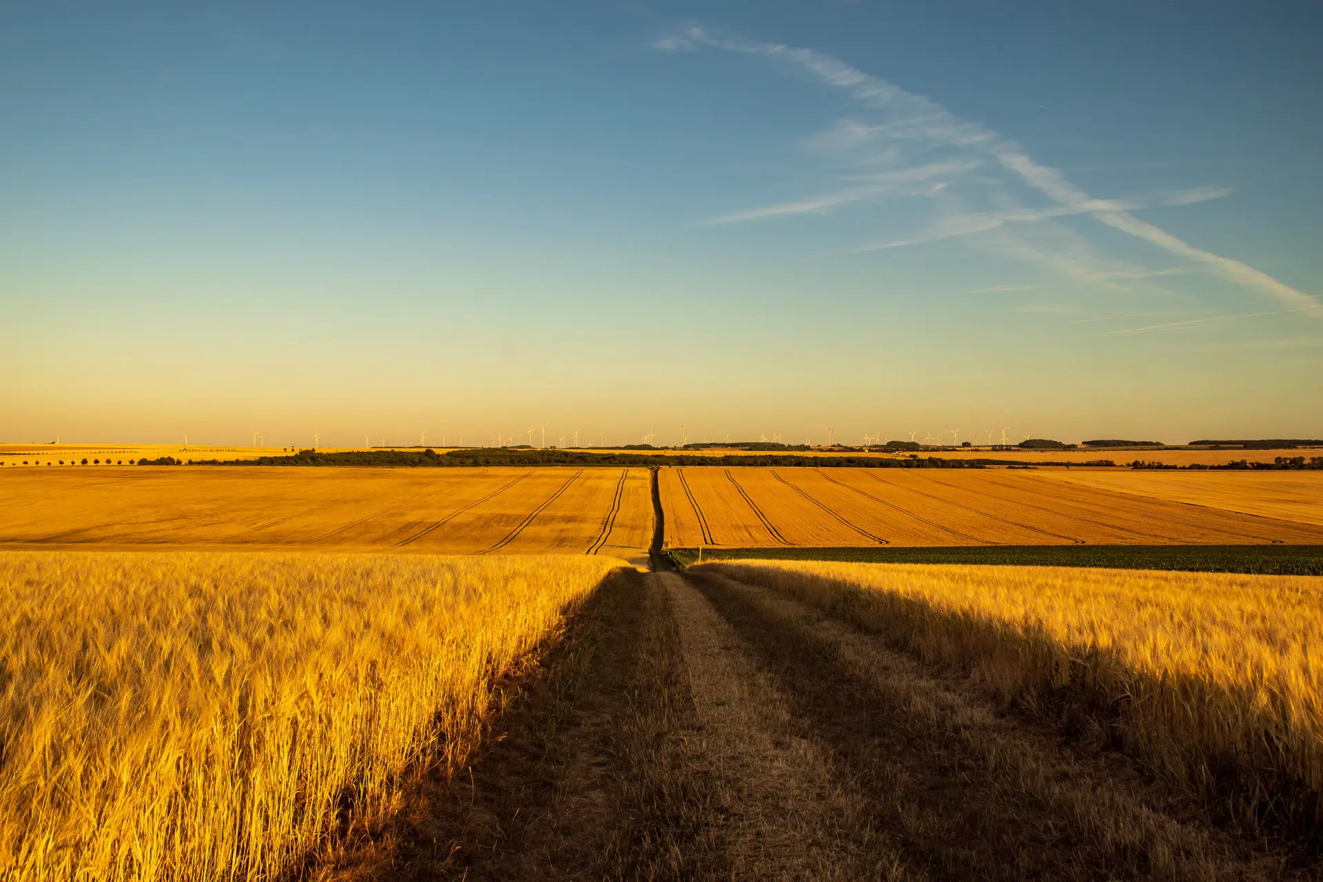 Landwirtschaft im Thüringer Becken