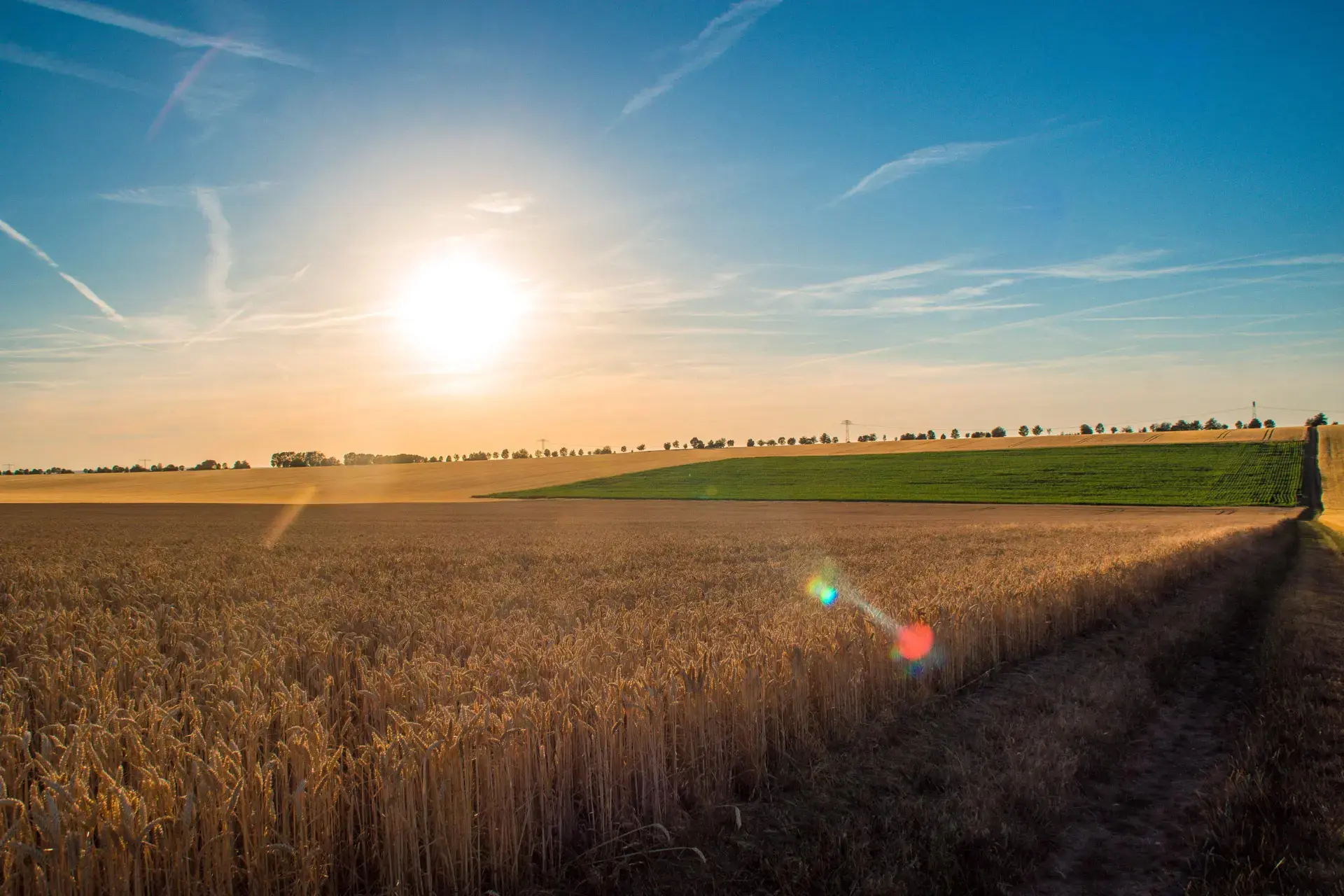 Landwirtschaft im Thüringer Becken