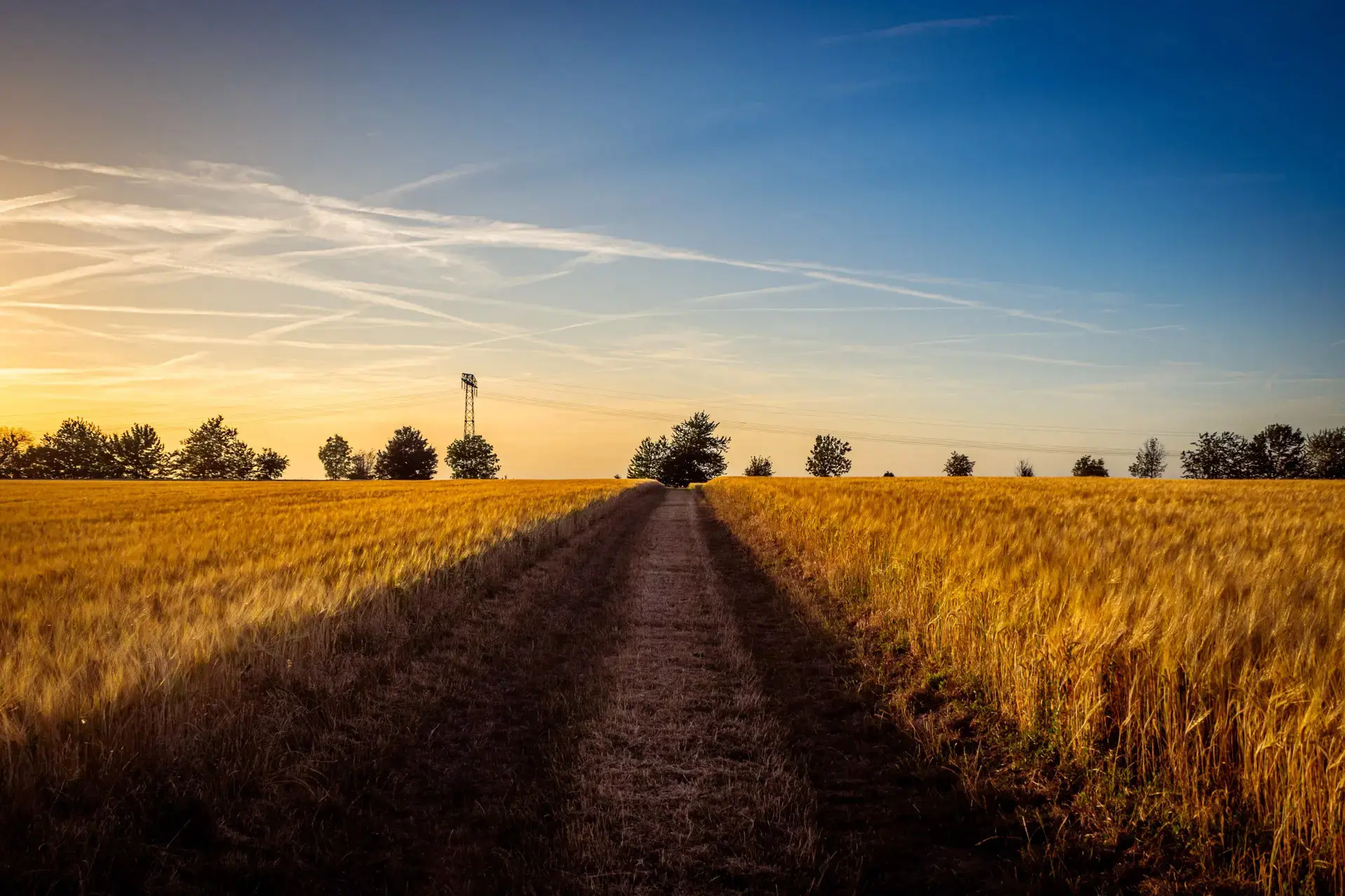 Landwirtschaft im Thüringer Becken