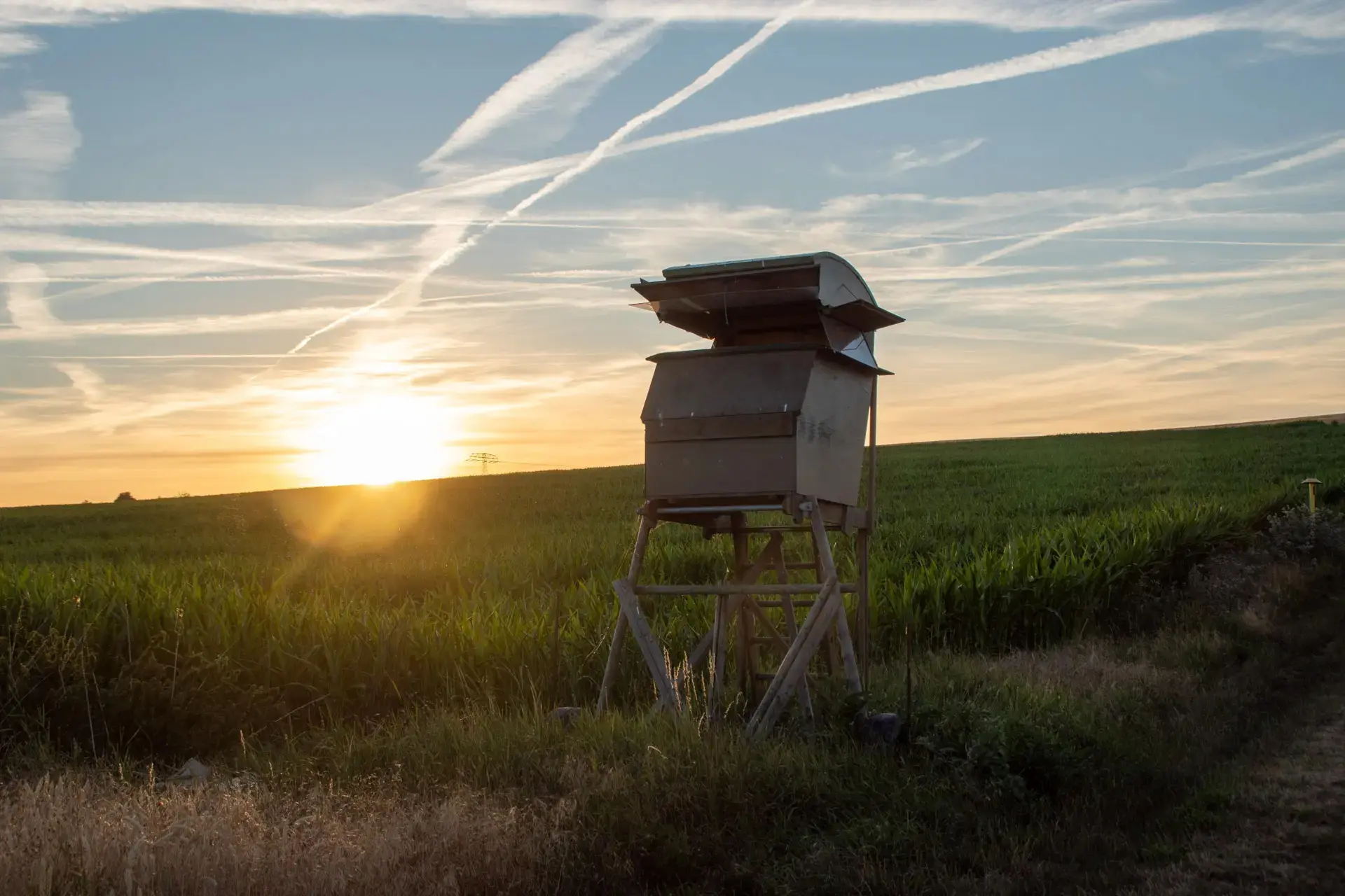 Landwirtschaft im Thüringer Becken