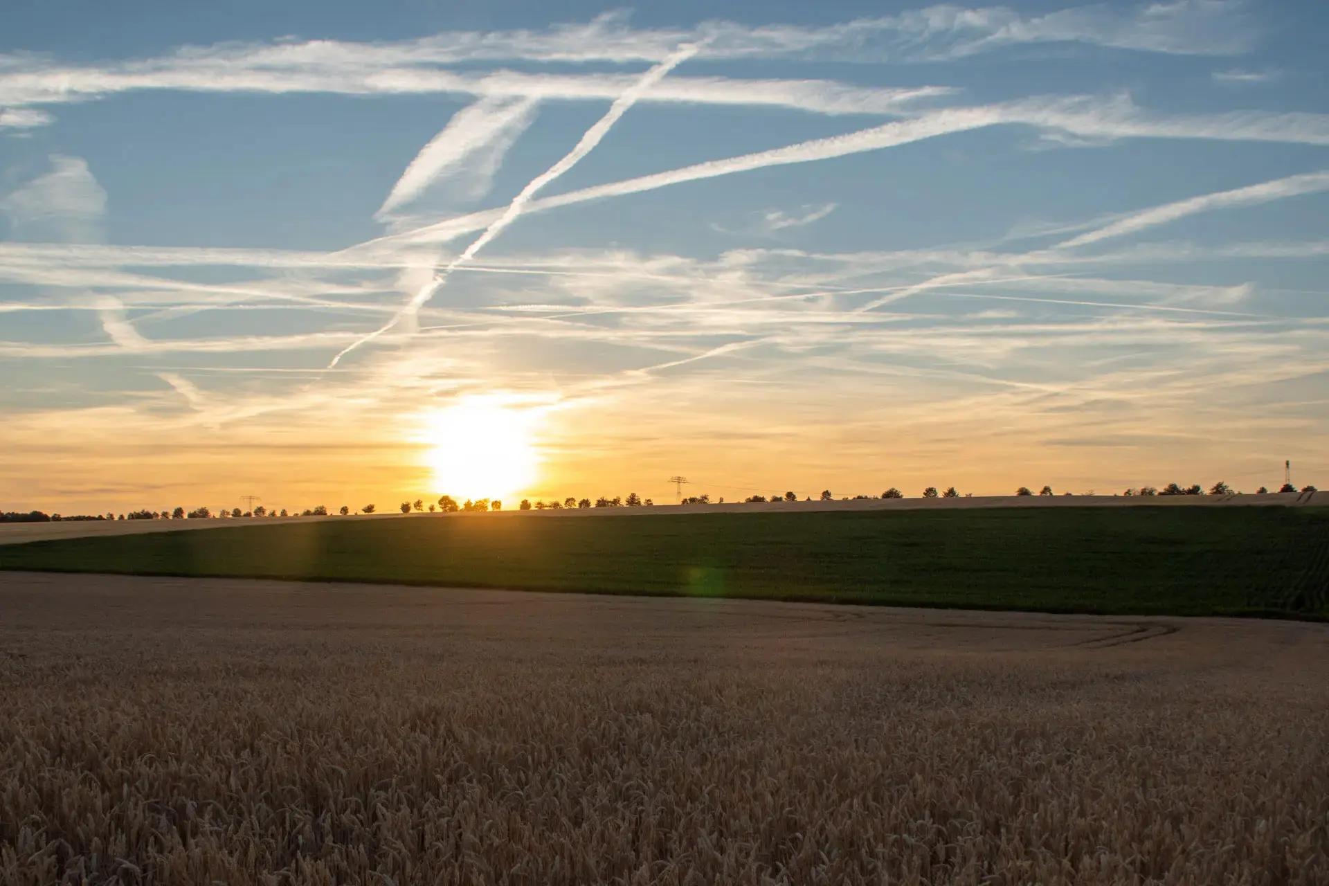 Landwirtschaft im Thüringer Becken