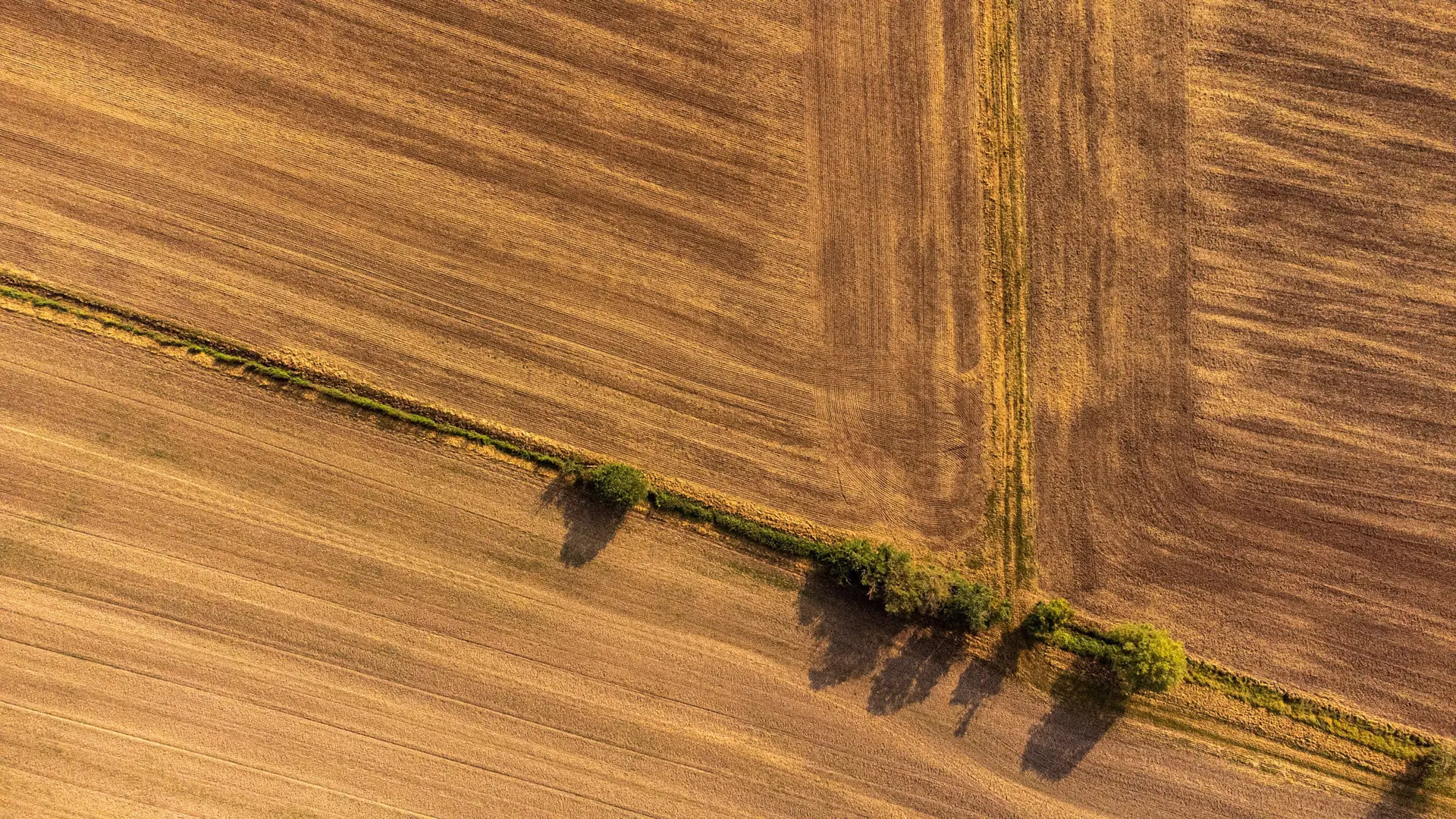 Landwirtschaft in Thüringen bei Gleichamberg