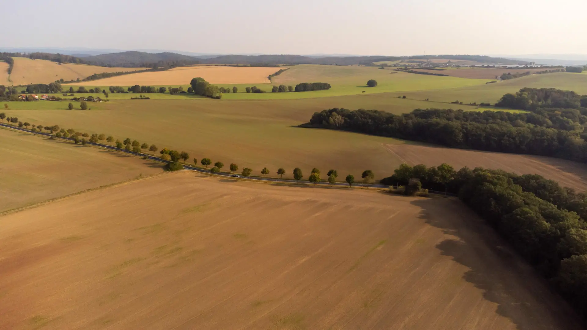 Landwirtschaft in Thüringen bei Gleichamberg