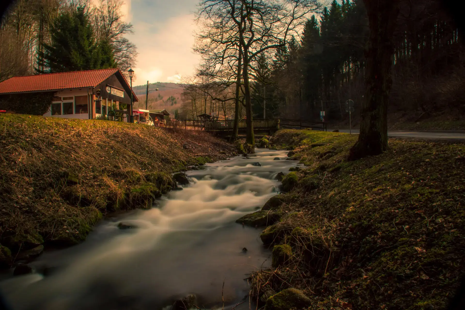 Die Truse im Thüringer Wald